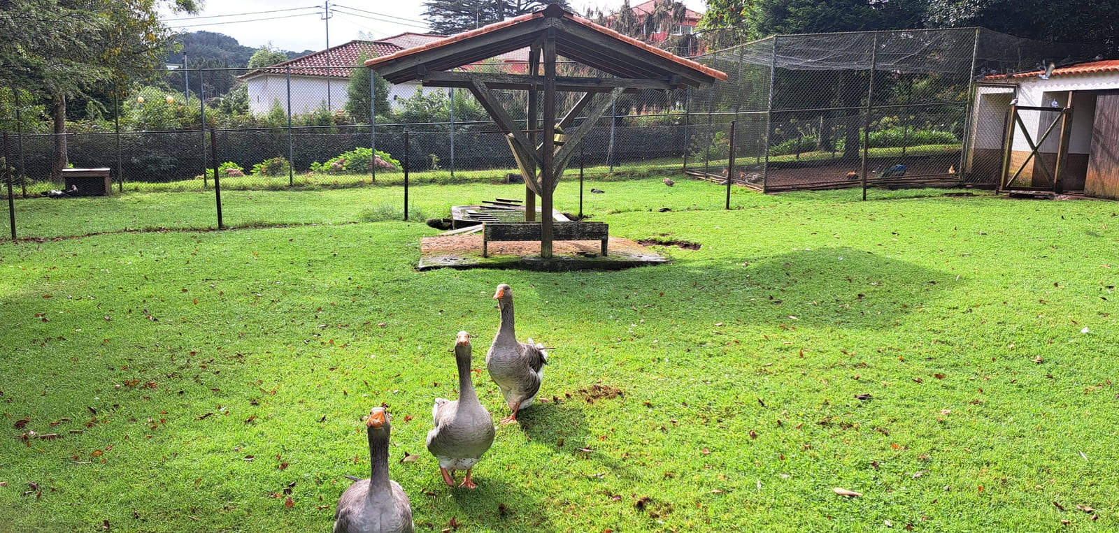 Visita ao Santo da Serra