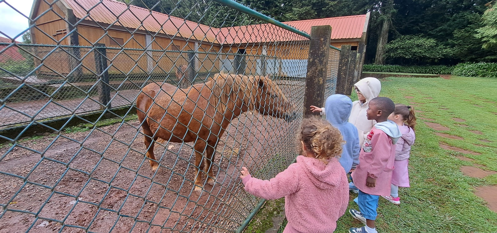 Visita ao Santo da Serra